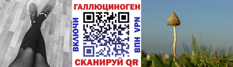 Псилоцибиновые грибы GOLDEN TEACHER  что такое наркотик  shop телеграм  Киреевск 