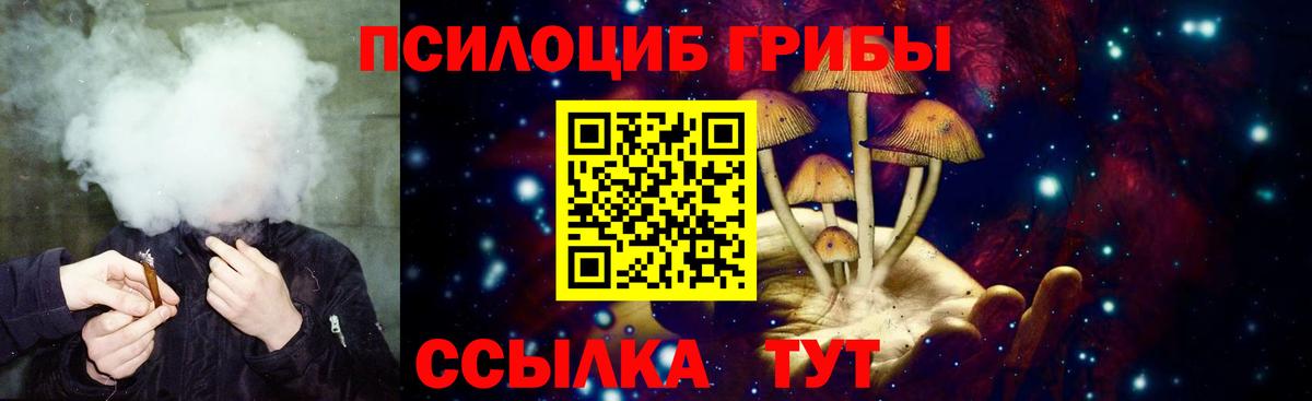 Киреевск  Псилоцибиновые грибы Magic Shrooms  Вход с VPN  Псилоцибиновые грибы GOLDEN TEACHER 